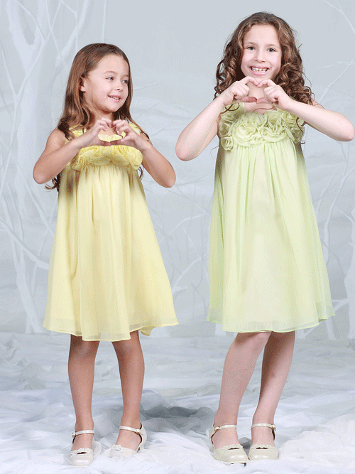 empire waist flower girl dress