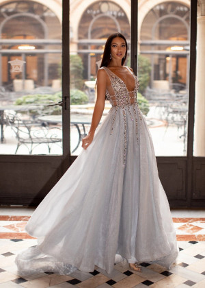 Silver Beaded Tulle Exposed Back Evening Dress