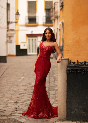One Shoulder Deep Red Sequin Elegant Evening Dress
