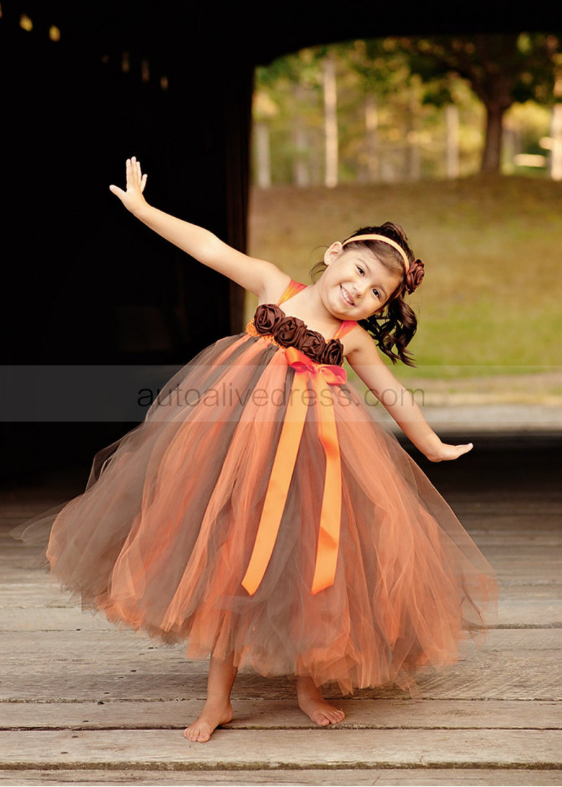 brown tutu dress Baby Girls Brown Tulle Skirt main image 1