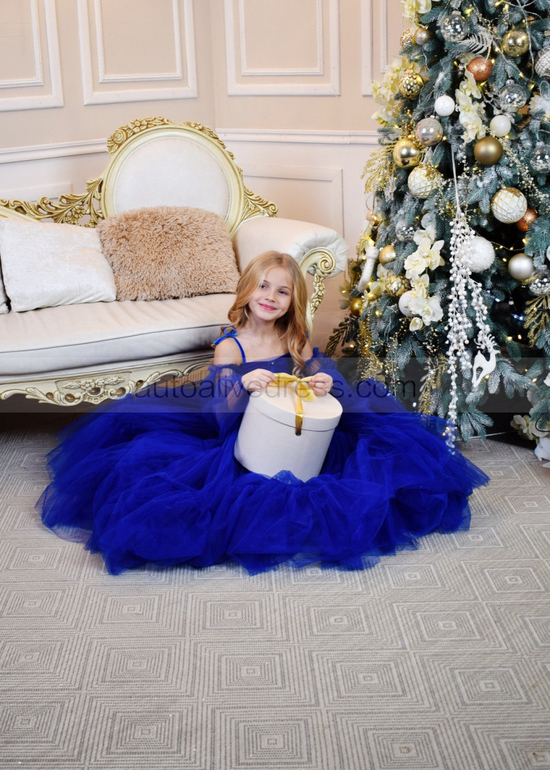 A-line Royal Blue Tulle Flower Girl Dress Holiday Dress