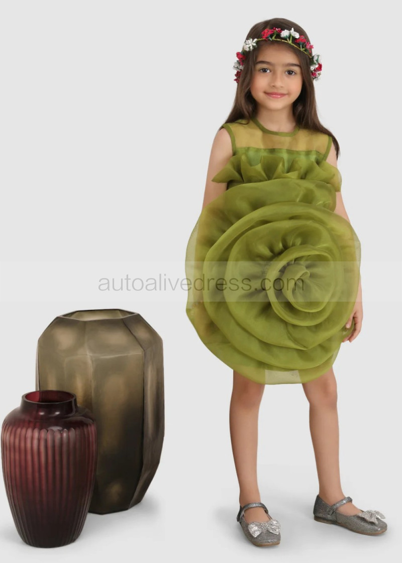 Sheath Olive Green Organza Big Flower Unique Flower Girl Dress