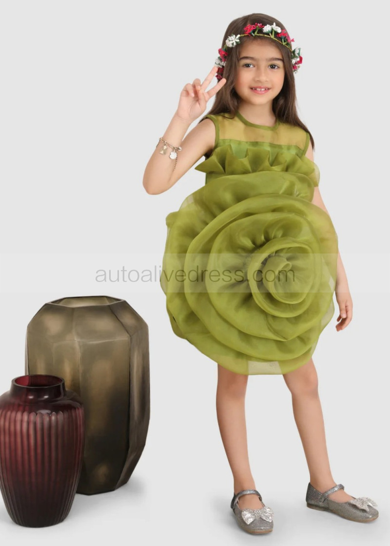 Sheath Olive Green Organza Big Flower Unique Flower Girl Dress