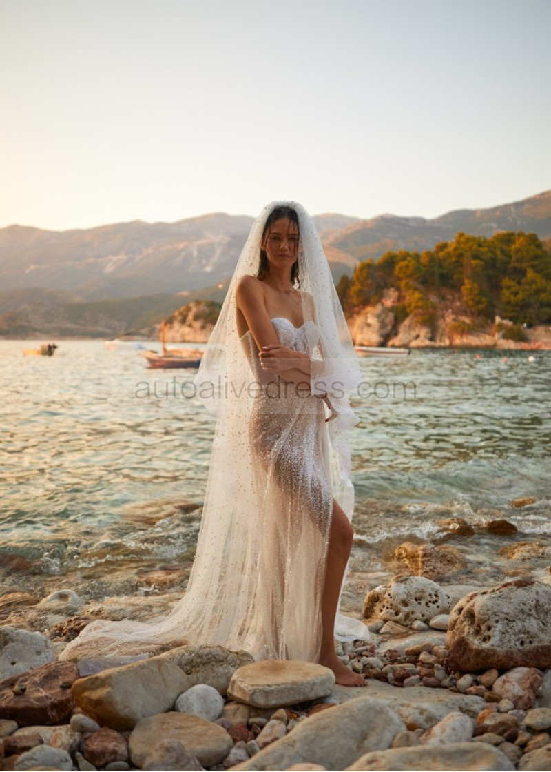 beach wedding dress with veil Romantic Lace Strapless Corset Pearl Pink Mermaid Beach Wedding Dress main image 1